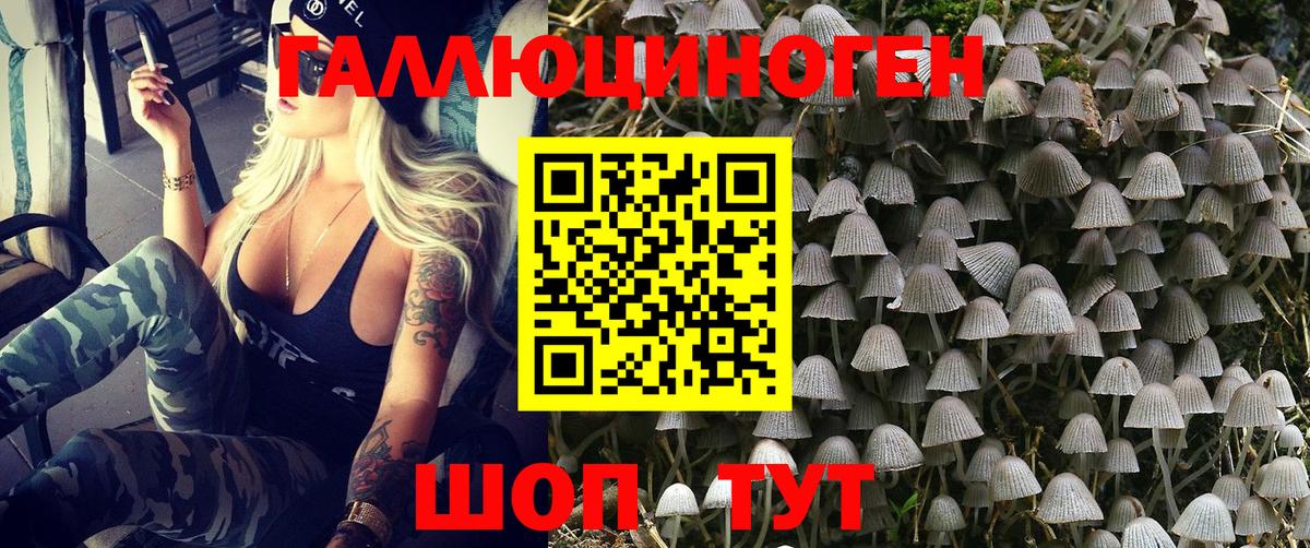 Галлюциногенные грибы мицелий Котлас